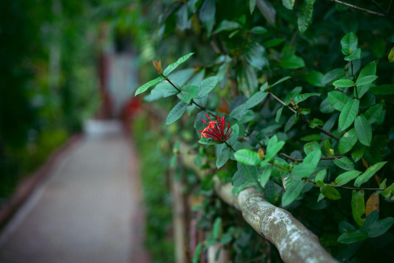 Palm Grove Eco Resort Port Blair Bagian luar foto